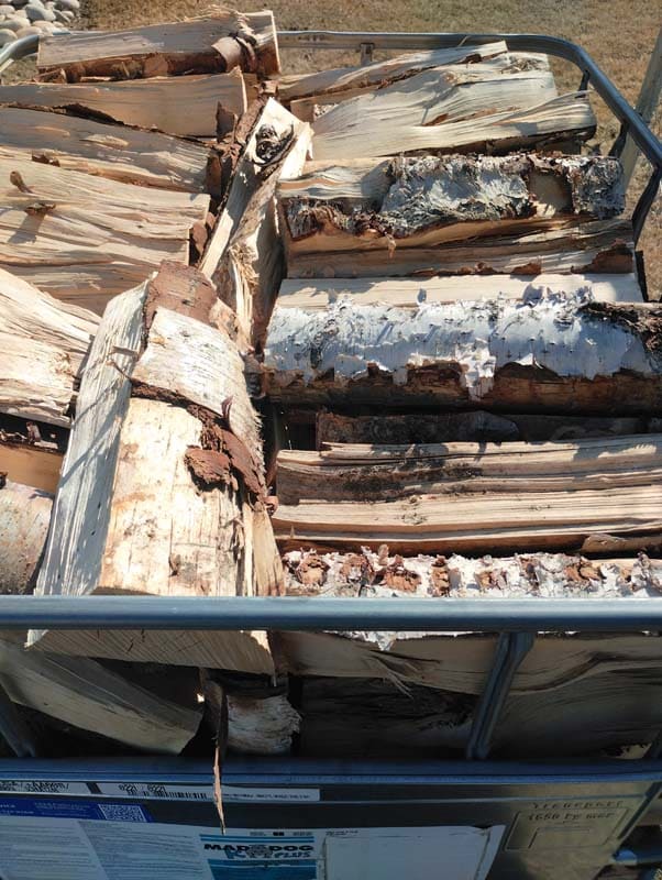 Birch Firewood